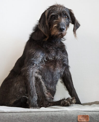 20250407_JE__IMG_2588